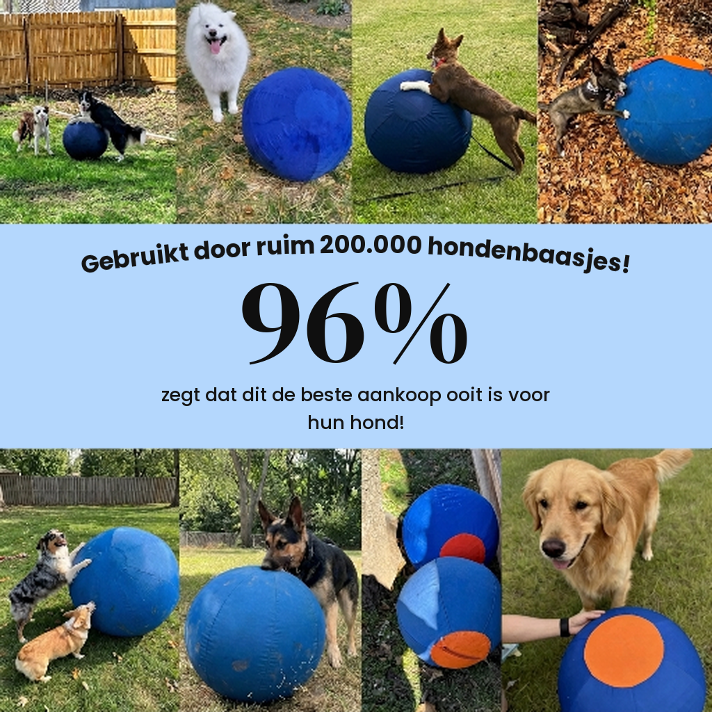 Drevit® Drijfbal voor Honden - 96% Tevreden Baasjes