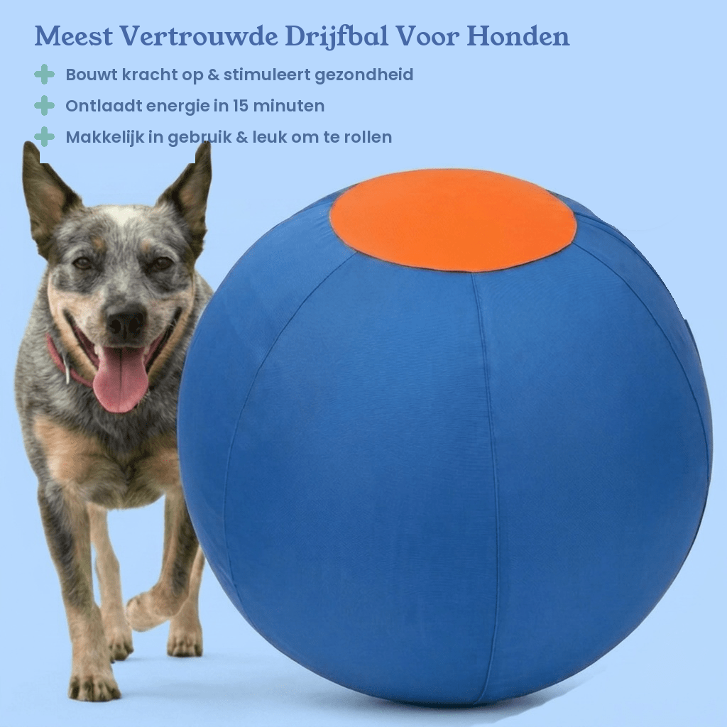 Drevit® Drijfbal voor Honden - Hoofdafbeelding Clean