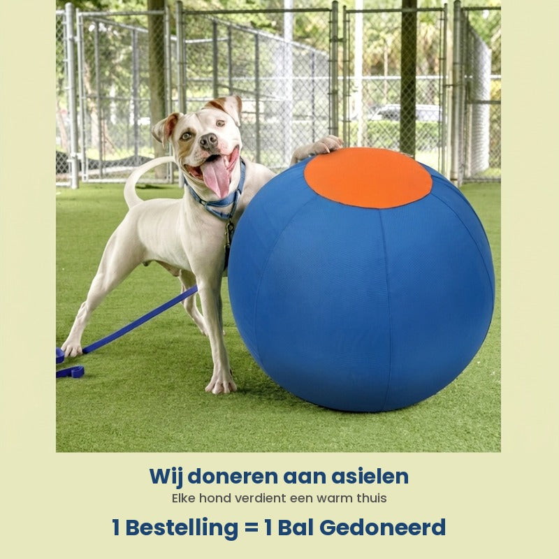 Wij doneren aan asielen - 1 Bal = 1 Donatie