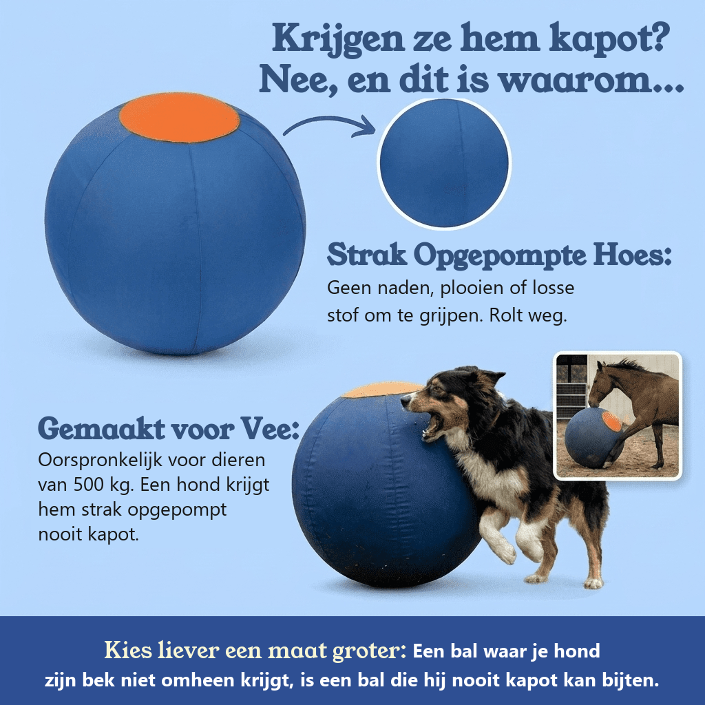 Drevit® Drijfbal voor Honden - Krijgen ze hem kapot?