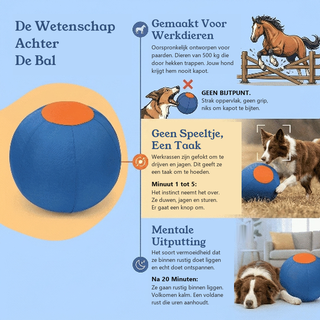 Drevit® Drijfbal voor Honden - De Wetenschap Achter De Bal