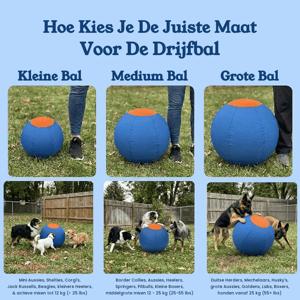 Drevit® Drijfbal voor Honden - Juiste Maat Kiezen
